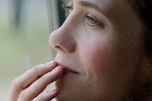 Amores Inversos | Hateship Loveship