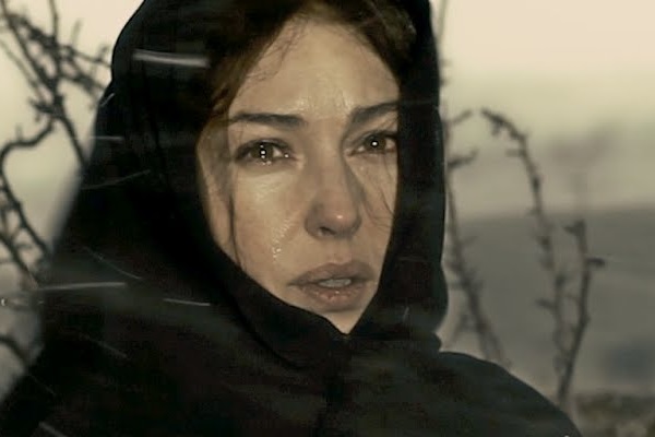 Estação de Rinocerontes | Rhino Season