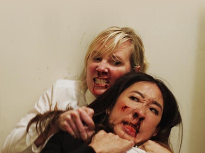 Resenha Crítica | Catfight (2016)