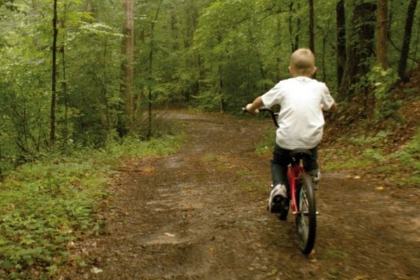 Sem Evidências | Devil's Knot