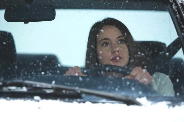 Pássaro Branco na Nevasca | White Bird in a Blizzard