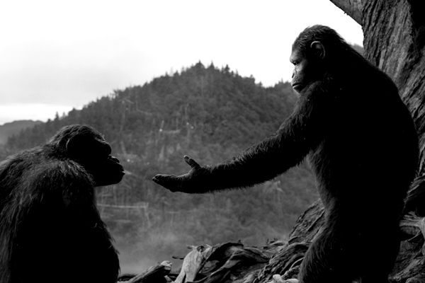 Planeta dos Macacos: O Confronto | Dawn of the Planet of the Apes