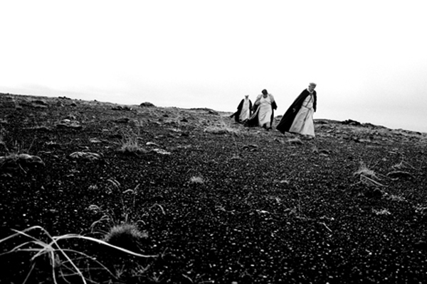 O Canto dos Pássaros | El cant dels ocells