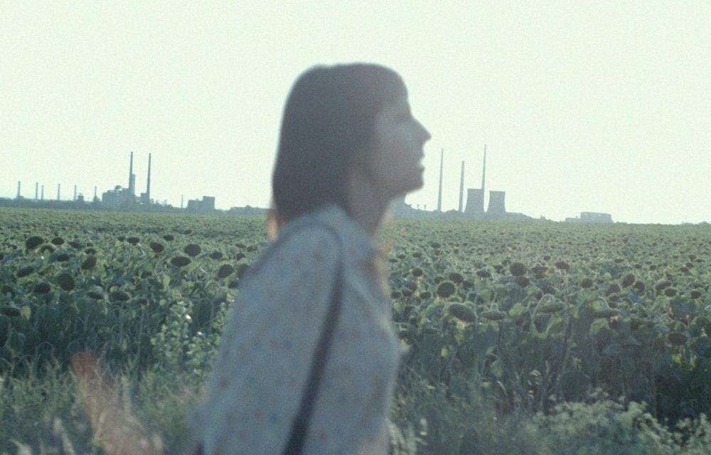 A Lição (The Lesson)