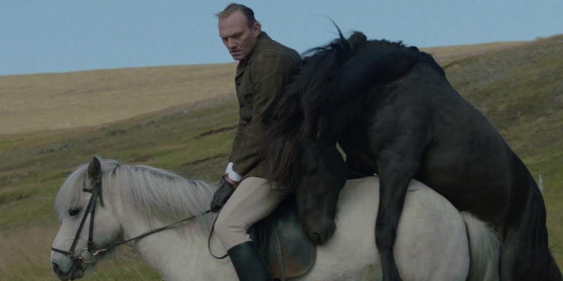 Resenha Crítica | Cavalos e Homens&nbsp;(2013)