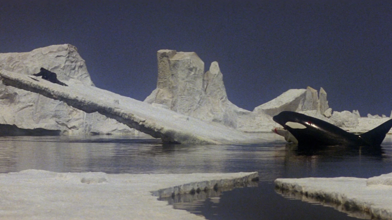 Orca: A Baleia Assassina